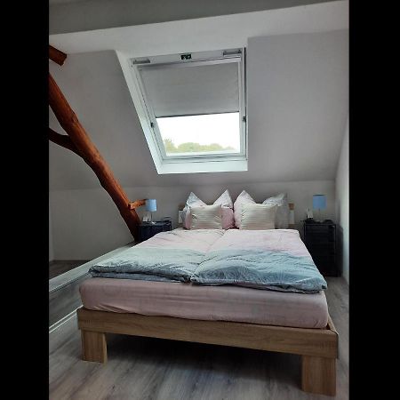 Neu! Ferienwohnung Lucie 凯沃拉尔 外观 照片