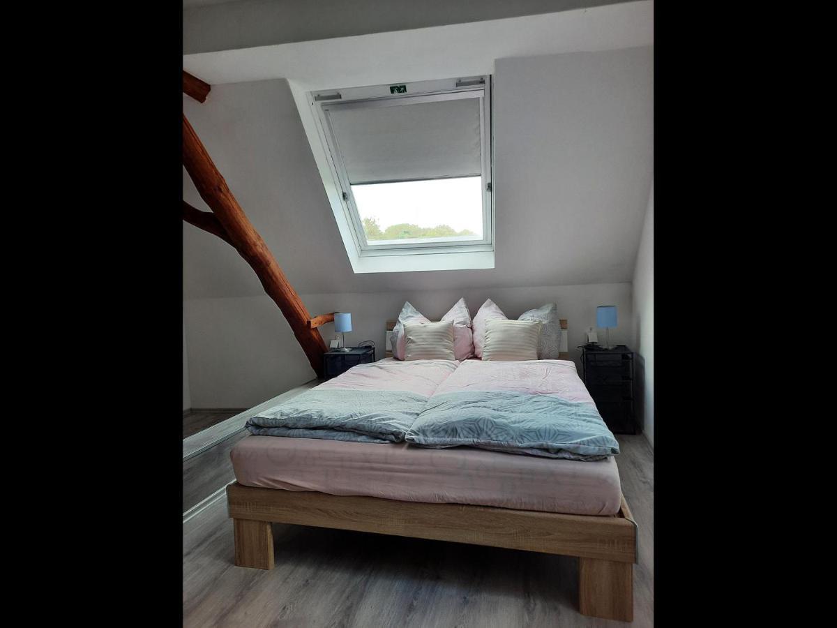 Neu! Ferienwohnung Lucie 凯沃拉尔 外观 照片